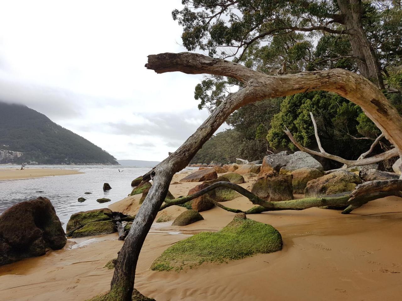 Fish Creek Adrift Accommodation Exterior foto